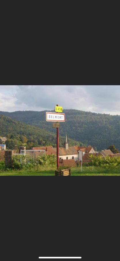 Gite De Montagne Au Pied Du Champ Du Feu 贝尔蒙特 外观 照片