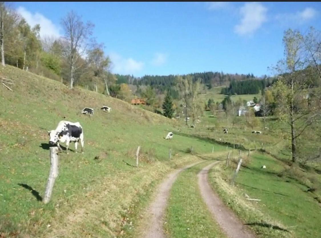 Gite De Montagne Au Pied Du Champ Du Feu 贝尔蒙特 外观 照片